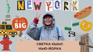 Светка кыыс Нью-Йорка