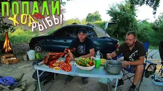 Попали на Ход Карпа и Карася! Рыбалка с ночёвкой.