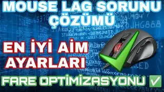 MOUSE LAG SORUNU & MOUSE OPTİMİZASYON AYARLARI