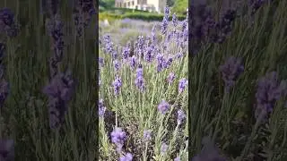 Сильно все изменилось?