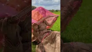 The Ultimate Fashion Showcase| Country Clothes Promo | 2023