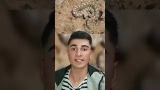 Dünyanın en tehlikeli 8 yılanı #yılan #tehlikeli #zehir