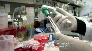 La biotechnologie dans notre vie