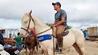 HORSE FAIR IN CACHOEIRINHA-PE 09/21/2023 