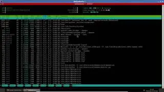 Section 5   Network manager and task manager