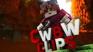 CWVW CLIPS #4   | Laiki stavte pzpzppzpzp