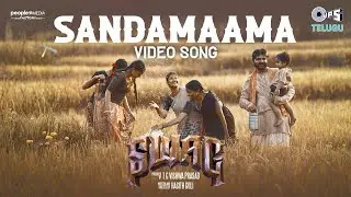 Sandamaama - Video Song | Swag | Sree Vishnu | Vivek Sagar | Rhithwik S Chand | Ramajogayya Sastry