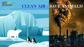 Air Pollution - Act Now to Save Animals in the Future!