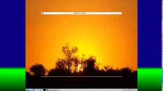 OBS For Linux Doesn't Work!