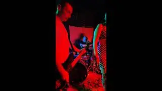 Прямой эфир SWINGER KILLERS  в Мотыге