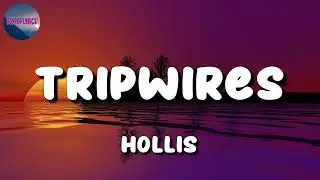 Hot TikTok Song  - Hollis - Tripwires - Luka Lyrics