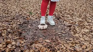 Christmas special 🎄 raw chicken crushing with Buffalos