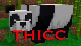 He CHONKY