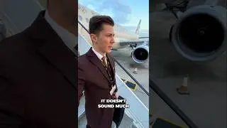 Flight Attendants Working Hours - How Much Do We Fly?