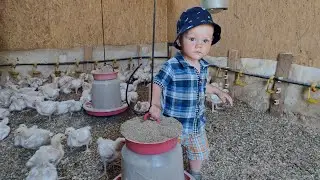 Курочка по зëрнышку клюëт.