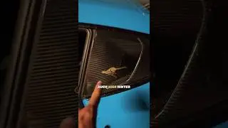 Die GEHEIMEN PORSCHE Tiere👀
