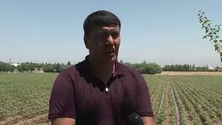 Кишоварзи н Восеъ 2022