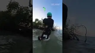 How Dumb ARE They? Idiots Of The Week