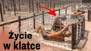 Tutaj Jest Gorzej Niż W Piekle! Najstraszniejsze Więzienia Na Świecie