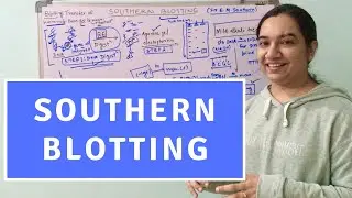 Southern Blotting | Southern Blotting Technique | Southern Blotting Procedure -CSIR NET Life Science