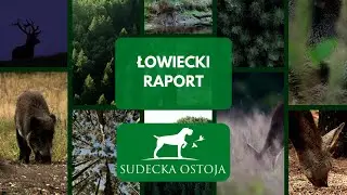 ŁOWIECKI RAPORT - SUDECKA OSTOJA #21