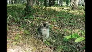 Любовь к вам делает нас лучше..)