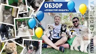 ГОДОВЩИНА В ПУШИСТОЙ ОБЩАГЕ 2:0