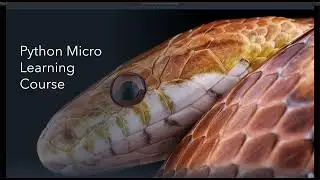 Python MicroLearning Course: Learn Python Basics in Bite-Sized Lessons