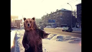Сказка про Новосибирск (от группы СПиД)
