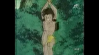 Фрагмент программы 