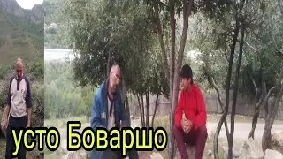 Тарзи таёр намудани 