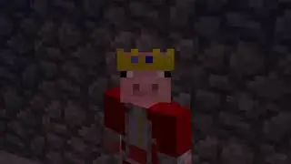 rest in peace Technoblade    a tribute