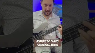 Estude o Campo Harmônico Maior desse jeito
