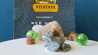 Мраморный лягушонок