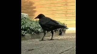 Ну кто так строит?!  Будем исправлять! 😁 