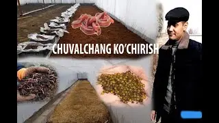 CHUVALCHANG KO'CHIRISH JARAYONI (TO'LIQ)
