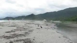 Parco Tayrona, Playa Recife