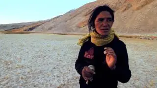 Ladakh Diaries - Ep 3 Sheep Girl - Snow Leopard