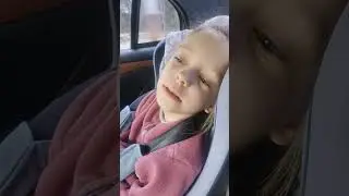 Еду, еду, еду Я ....