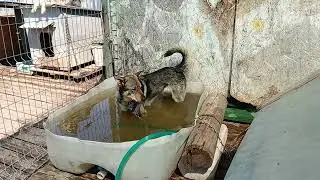 День защиты детей😀