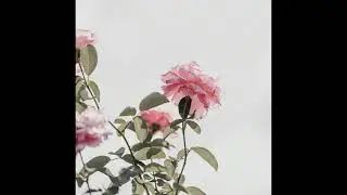 [FREE] J. Cole x Kendrick Lamar x Mac Miller x Isaiah Rashad x Logic Type Beat | 