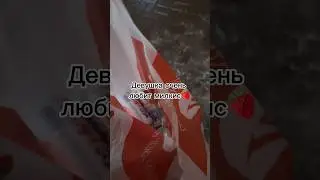 Любителям милкис🍓 #milkwaves #хочуактив