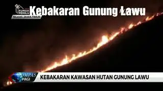 Kebakaran Gunung Lawu