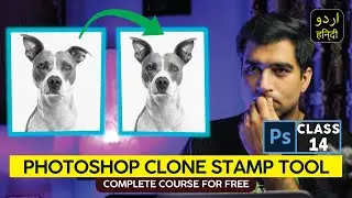 Clone Stamp Tool - Complete Guide To Clone Stamp Tool In Photoshop - Class 14