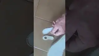Untitled video