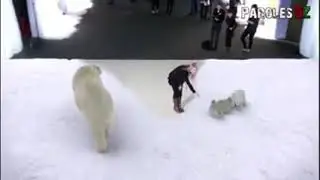 Виртуальный зоопарк. Virtual zoo