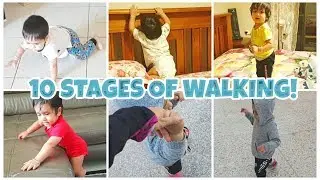 10 Stages of Walking | Series of Milestones baby needs to achieve to take FIRST BIG STEP!
