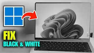 How To Fix Black And White Screen On PC