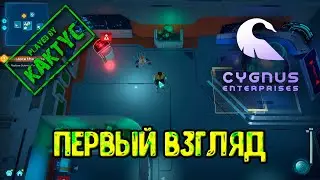 Cygnus Enterprises  - Первый взгляд