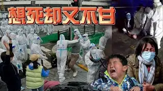 想死却又不甘，比原曲“想死却又不敢”还要悲伤无奈100倍！改编词-祝贺“庆丰帝”登基大典主题曲！！翻唱by粉红歌姬